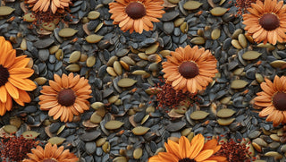 Phases du cycle menstruel