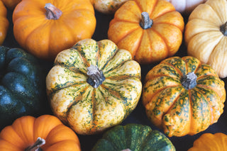Au-delà de la citrouille d’Halloween : histoire ancestrale et bienfaits santé d’un trésor d’automne