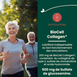 Glucosamine Collagène Type II
