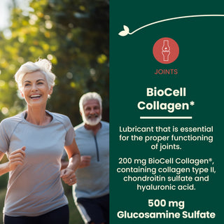 Glucosamine Collagène Type II