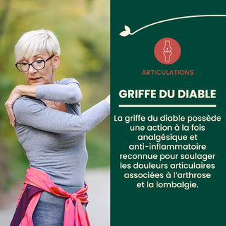 Griffe du Diable Extra Fort
