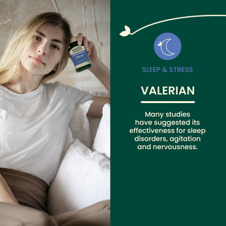 Valeriane 250 mg (100 caps)