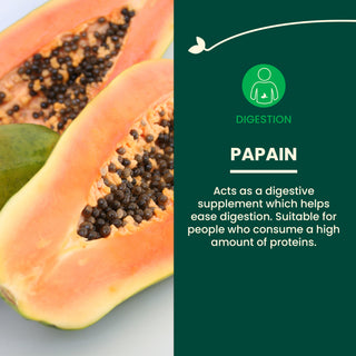 Papaya Enzymes