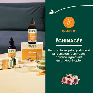 Echinacea Liquid Formula