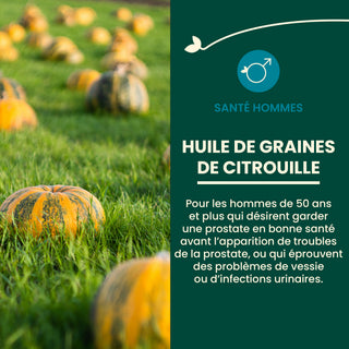 Huile de graines de Citrouille