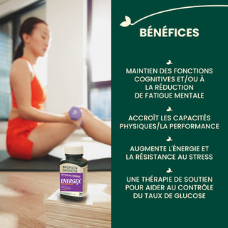 Energex Endurance