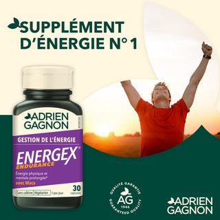 Energex Endurance