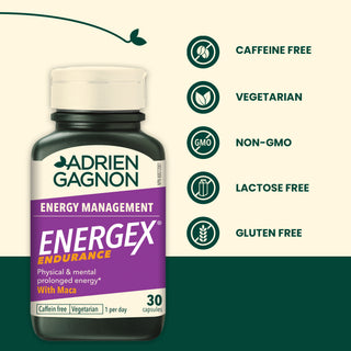 Energex Endurance