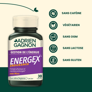 Energex Endurance