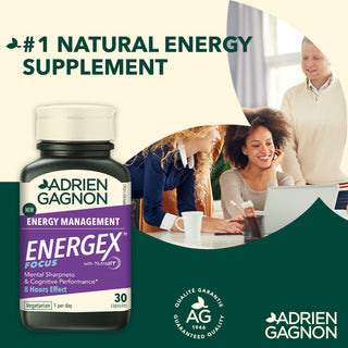 Energex Focus
