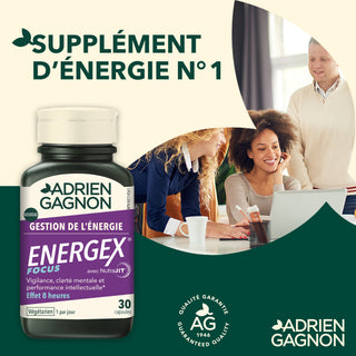 Energex Focus