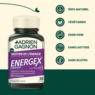 Energex Focus