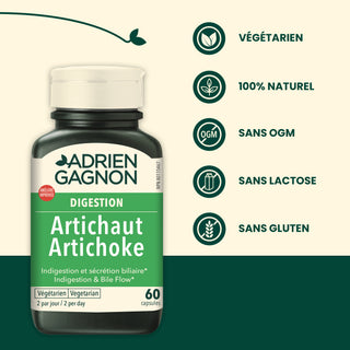 Artichaut
