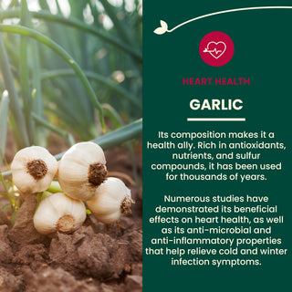 Garlic extra-strength 5,000 mcg allicin