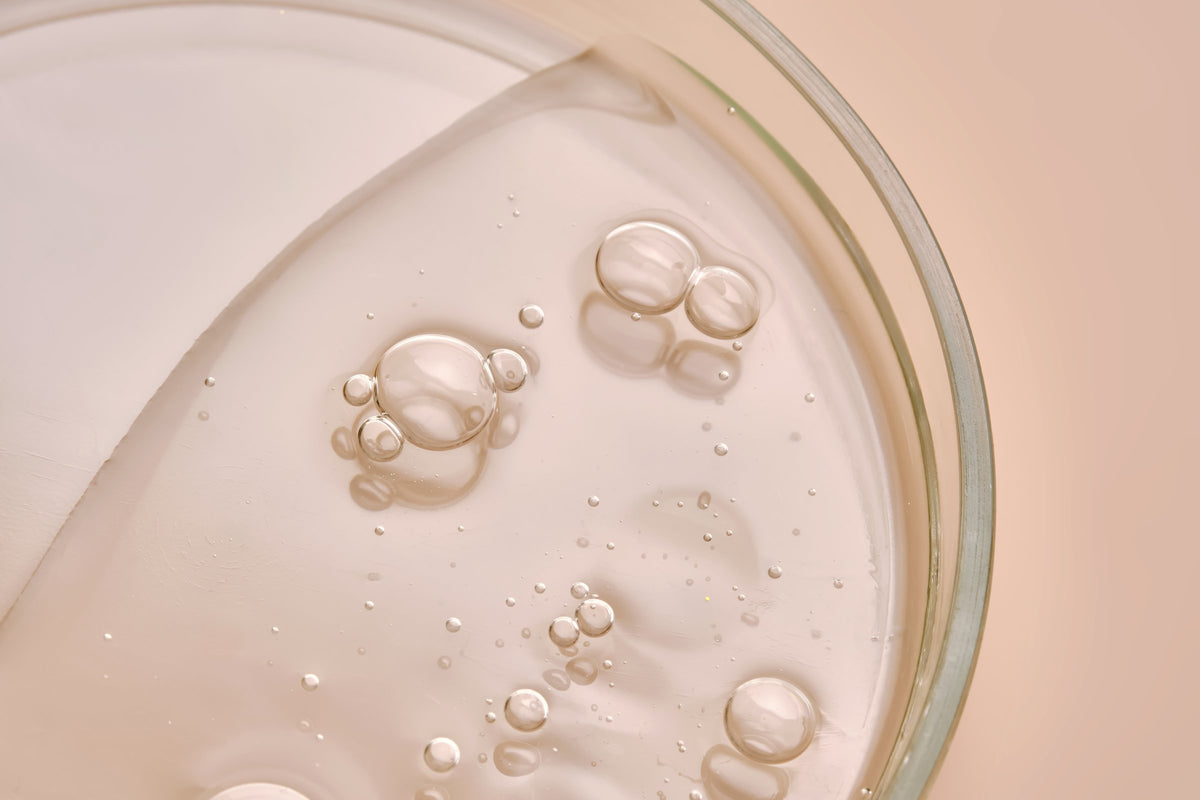 Close-up of a Petri dish containing liquid and droplets