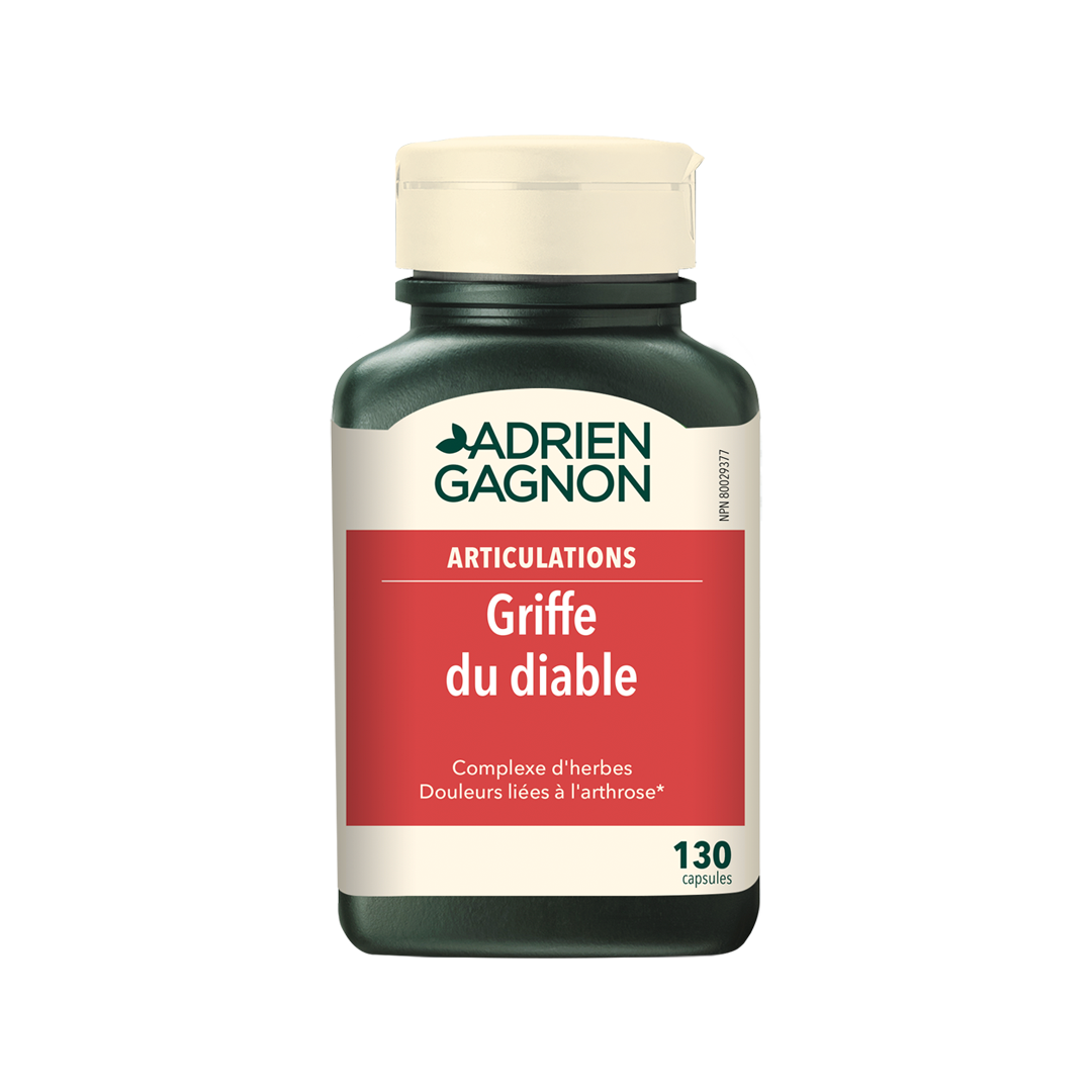 Griffe du Diable Extra Fort