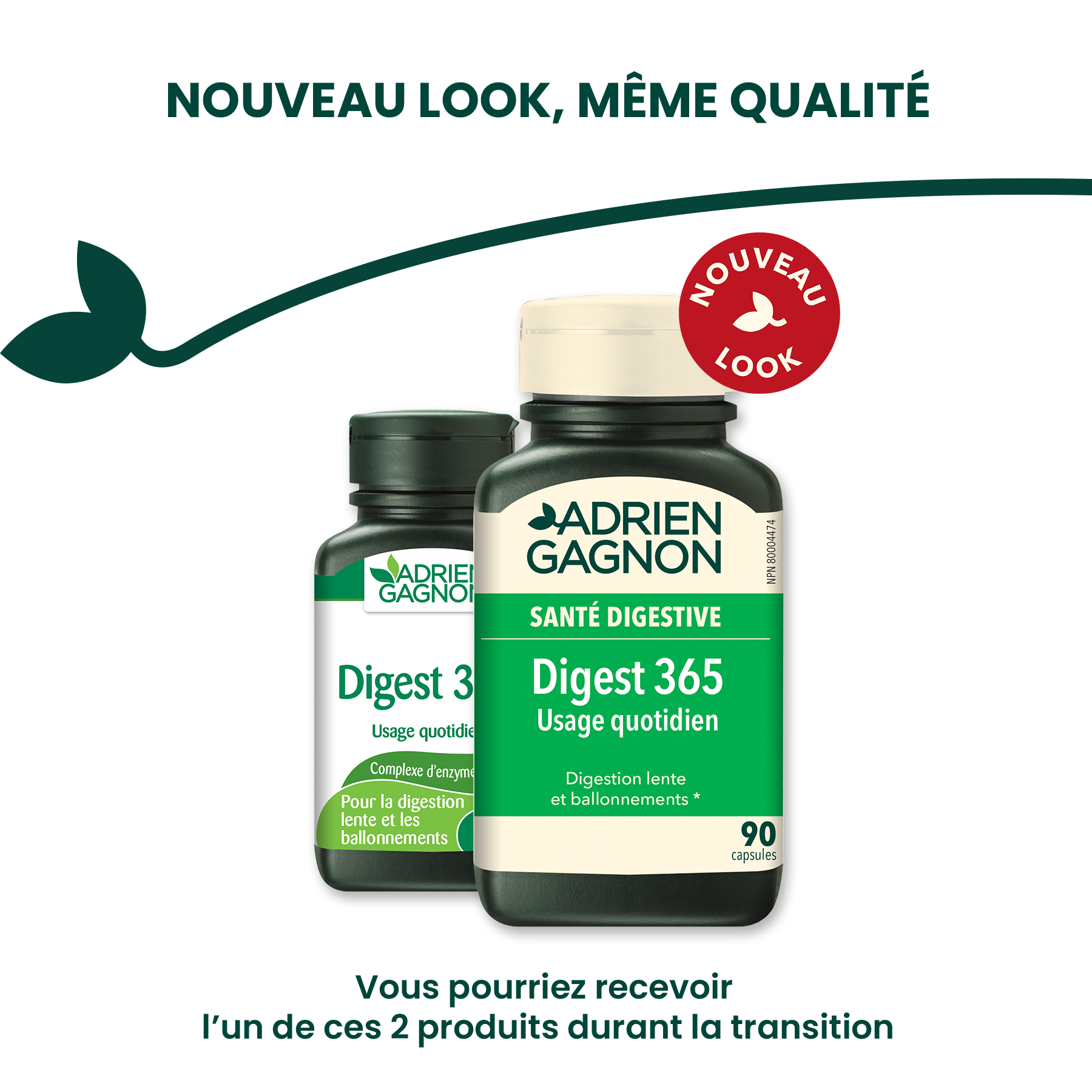 Digest 365 Daily Use  Adrien Gagnon – Adrien Gagnon - Santé Naturelle A.G.  Ltée