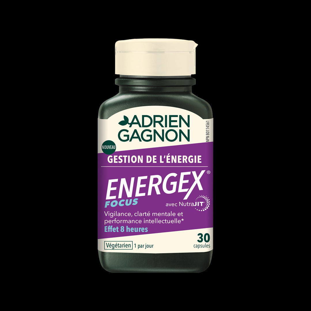 Energex Focus