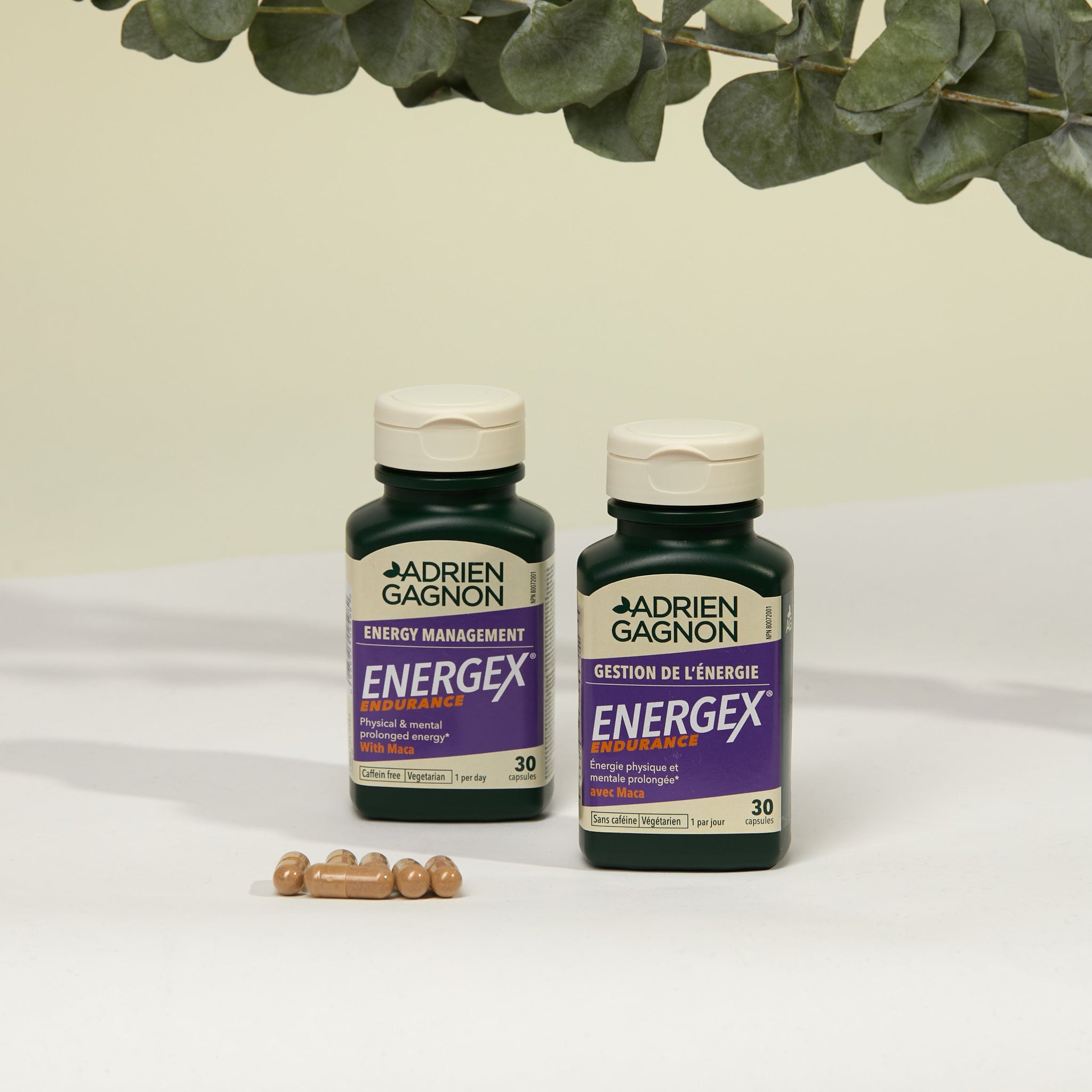 Energex Endurance – Adrien Gagnon - Santé Naturelle A.G. Ltée